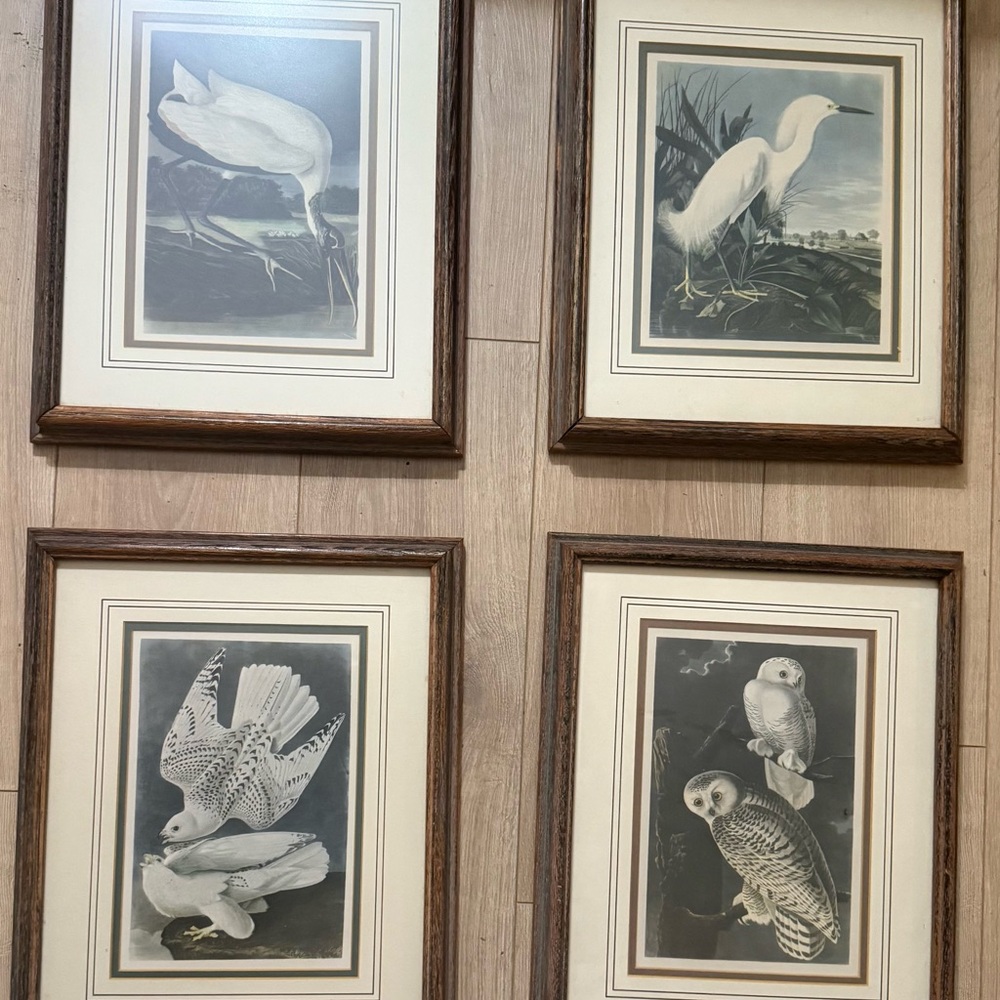 Set of Four Bird Art Prints in Wooden Frames Roger Tory Peterson originals